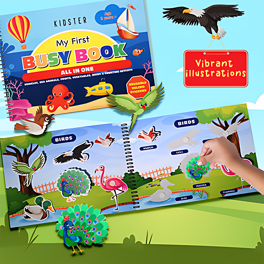 Vehicles, Fruits, Vegetables, Sea-animals, Birds and Counting Activity